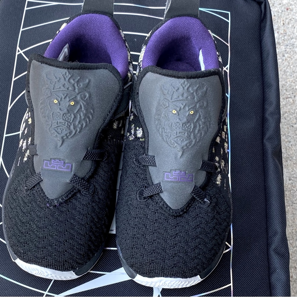 2019 Leborn 17 TD Lakers